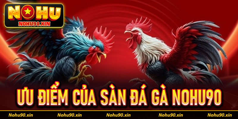 Một số ưu điểm của hot của sàn cá cược đá gà Nohu90 